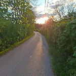 Lodge Forest Escape Pale