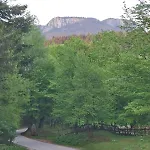 Forest Escape Lodge *