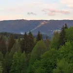 Lodge Forest Escape *