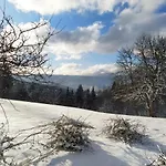 Forest Escape