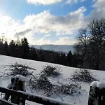 Hytte Forest Escape Pale