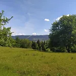 Forest Escape *