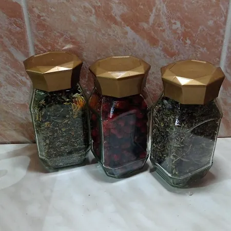 Forest Escape Пале