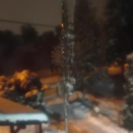 Forest Escape Пале