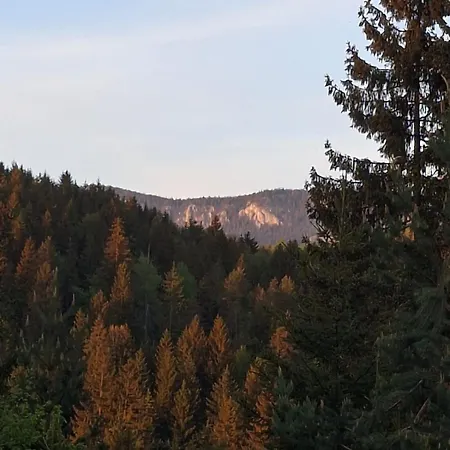 Forest Escape * Пале