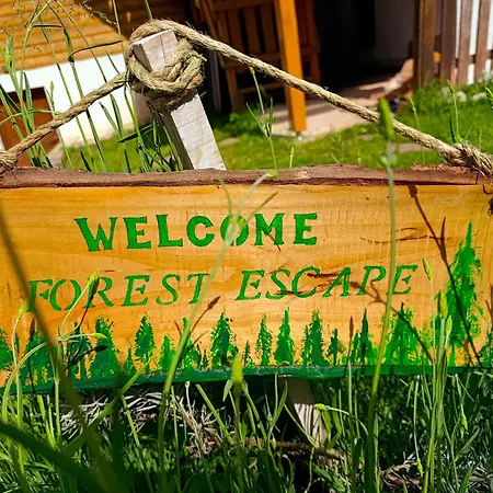 山林小屋 Forest Escape