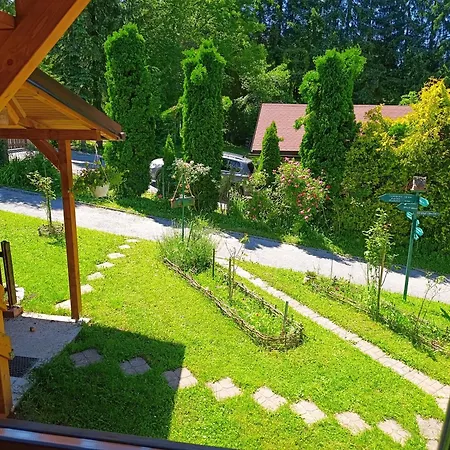 Forest Escape 山林小屋