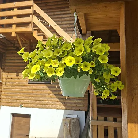 Forest Escape Lodge