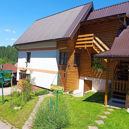 Orman Evi Forest Escape