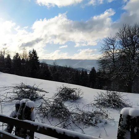 Деревянный коттедж Forest Escape Пале