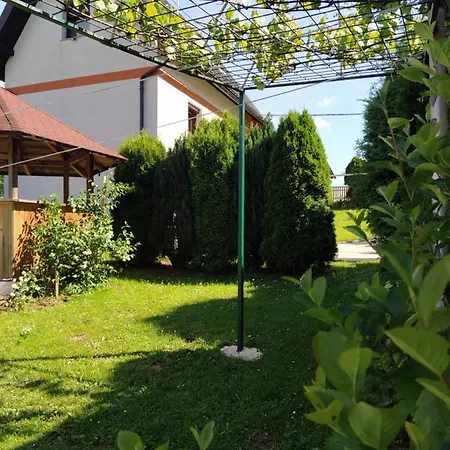 Деревянный коттедж Forest Escape Пале