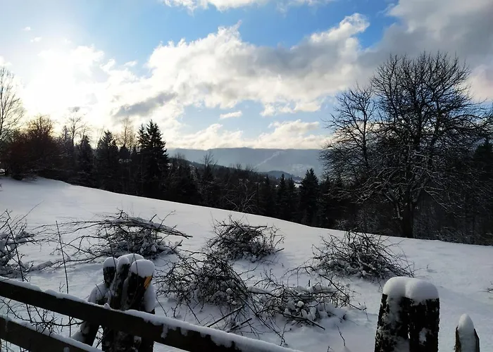 Lodge Forest Escape Pale