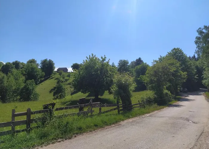 Lodge Forest Escape *